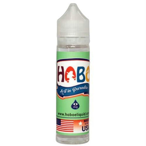 Hobo Ejuice - Lost In Paradise